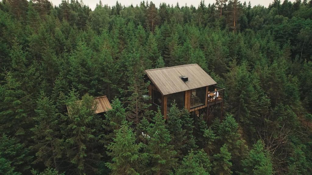 Hyssna Forest Resort Exteriér fotografie